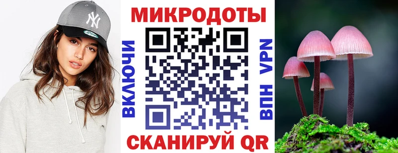 цены   Шимановск  Псилоцибиновые грибы мицелий 